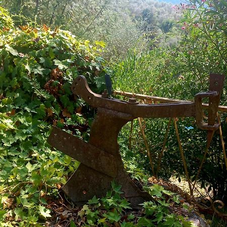 B&B La Risorgiva Fivizzano Exteriér fotografie