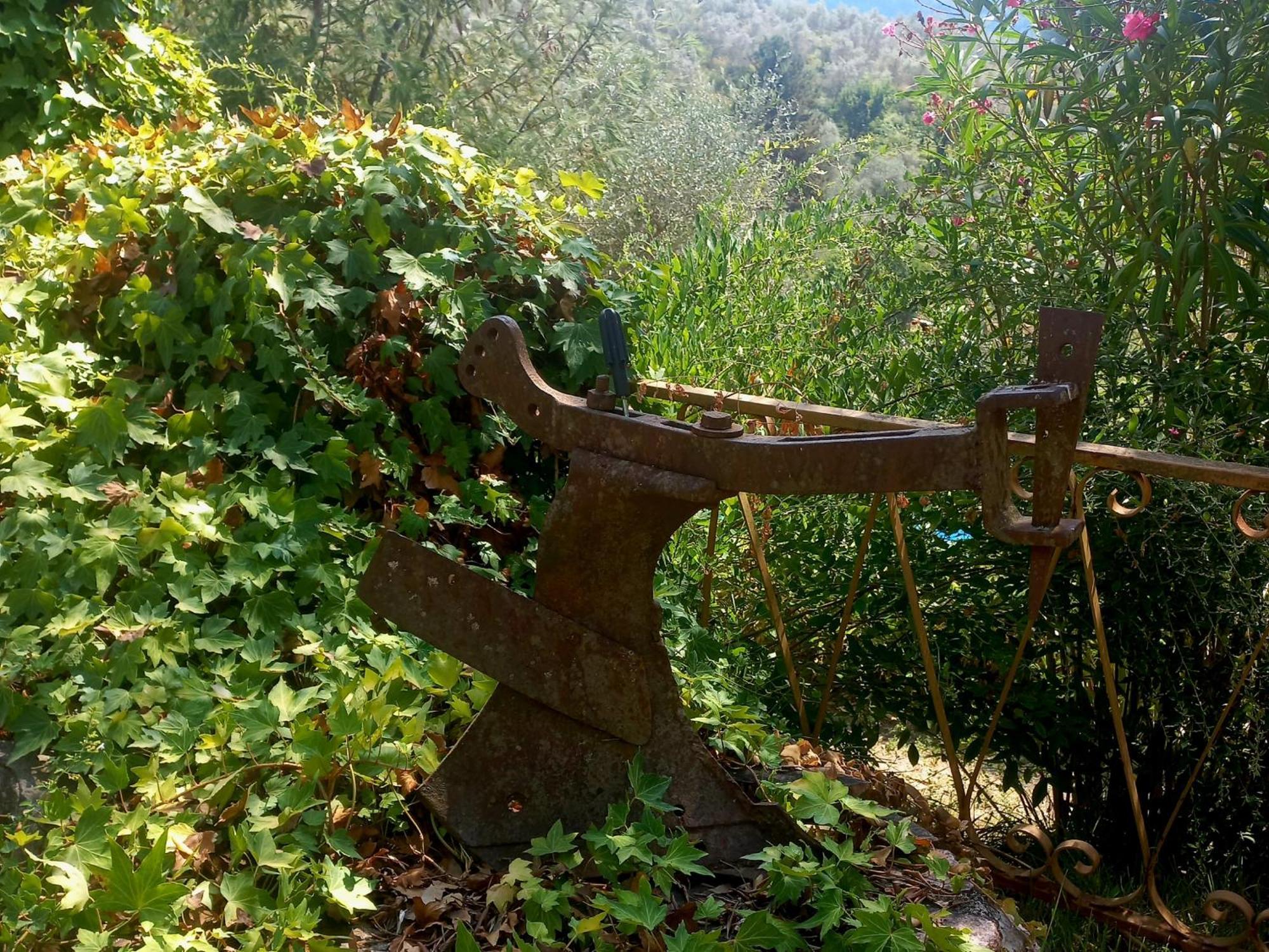 B&B La Risorgiva Fivizzano Exteriér fotografie
