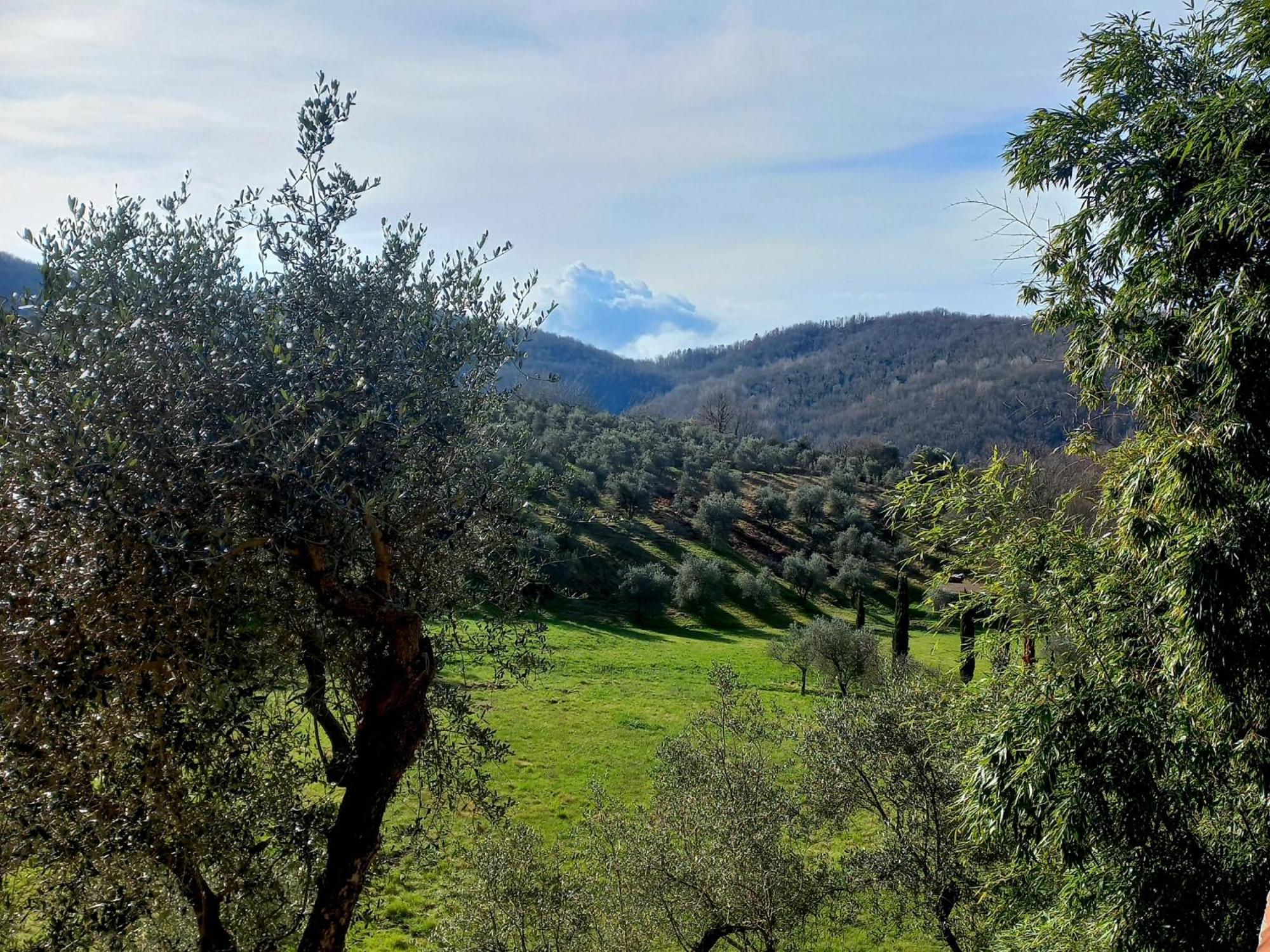 B&B La Risorgiva Fivizzano Exteriér fotografie
