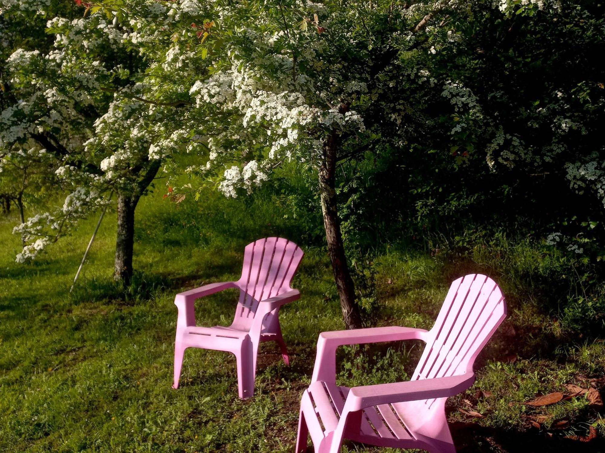 B&B La Risorgiva Fivizzano Exteriér fotografie